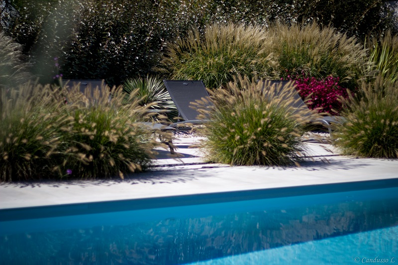 Bains de soleil dissimulés derrière des plantes pour se prélasser tranquillement au bord de la piscine